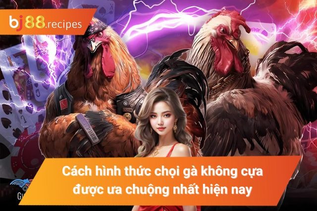 Những hình thức đá gà bị rót được yêu thích nhất 2024