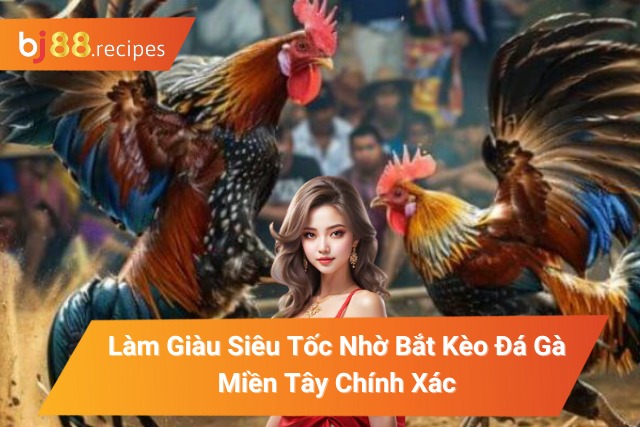 đá gà miền Tây