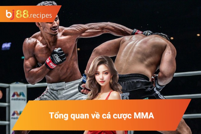 Những thông tin chính về Mixed Martial Arts